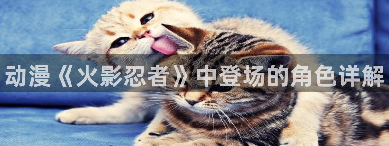 - omofun：动漫《火影忍者》中登场的角色详解