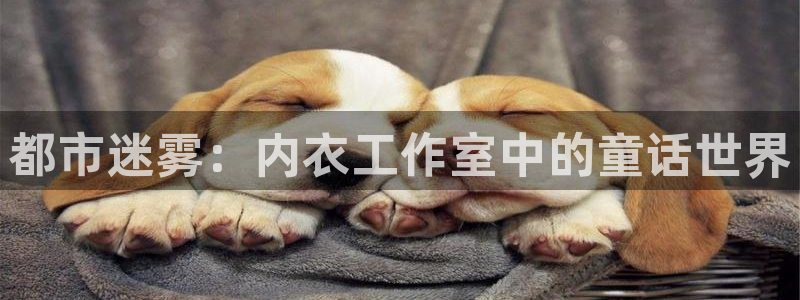 omofun最新下载：都市迷雾：内衣工作室中的童话世界