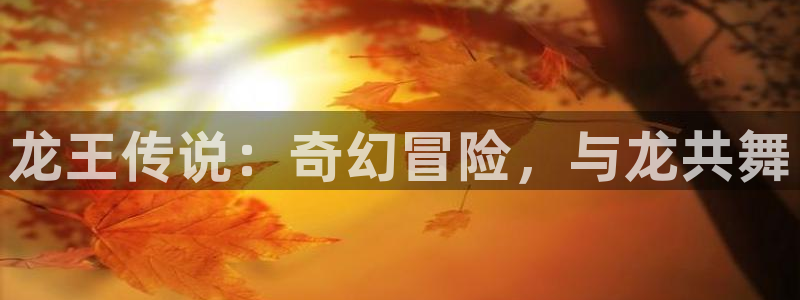 omofun.cn：龙王传说：奇幻冒险，与龙共舞