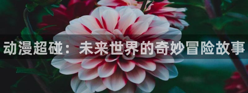下载omofun动漫：动漫超碰：未来世界的奇妙冒险故事